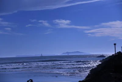 DSC_0868 (Large).JPG